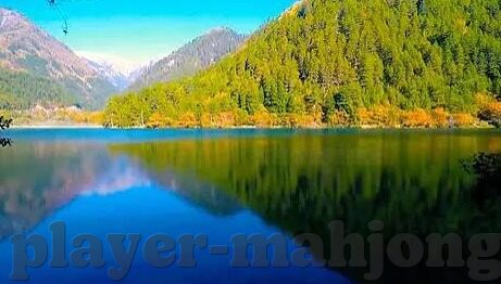 进入世界杯小组出线-进入世界杯小组出线，足球竞技的荣耀与挑战