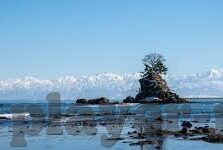 新澳门葡京赌场筹码-新澳门葡京赌场筹码，赌场经济的微观透视与文化影响